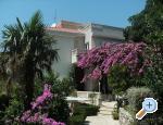 Apartmani Sulic Chorwacja