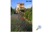 Apartmani Alena Bibinje Chorwacja
