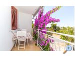 Apartmani Ana Biograd Chorwacja