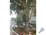 Apartmani Jurov Biograd Chorwacja