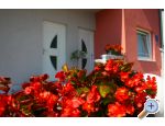 Apartmany Kus Biograd Chorwacja