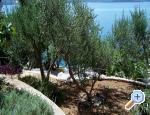 Apartmani Mediterraneo Blace Chorwacja