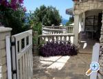 Apartmani Mediterraneo Blace Chorwacja