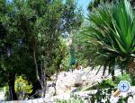 Apartmani Mediterraneo Blace Chorwacja