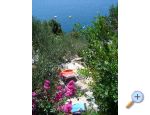 Apartmani Mediterraneo Blace Chorwacja