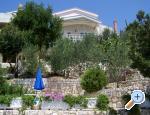 Apartmani Mediterraneo Blace Chorwacja