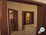 Apartmani Jakšić Brač Chorwacja