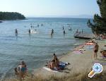 Apartments Moro Brač Chorwacja