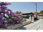 Villa Ana Pansion Brač Chorwacja