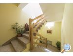 Apartmani Bla�enka Brela Brela Chorwacja