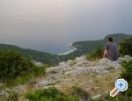 Apartmani Mario Cres Chorwacja