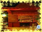 Apartaments Josip Crikvenica Chorwacja
