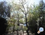 Apartmani Rosi Crikvenica Chorwacja