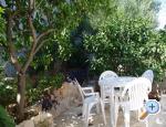 Apartman Dina ostrov Drvenik Veli Chorwacja