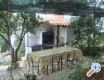 Apartman Dina ostrov Drvenik Veli Chorwacja