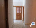 Apartmani Anka Dubrovnik Chorwacja