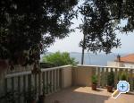 Apartmani Stella Dubrovnik Chorwacja