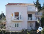 Apartments Oliva - Dubrovnik Island Dubrovnik Chorwacja