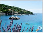 Apartments Villa Ana Molunat Dubrovnik Chorwacja