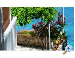 Apartments Villa Ana Molunat Dubrovnik Chorwacja