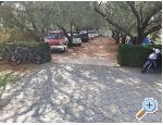 Apartman Vatrogasac Sv. Filip i Jakov Chorwacja