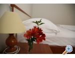 Apartmani IGOR Sv. Filip i Jakov Chorwacja
