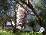 Apartmány Ana Chorwacja