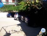 Apartm�ny Ana Sv. Filip i Jakov Chorwacja