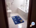 Apartm�ny Ana Sv. Filip i Jakov Chorwacja
