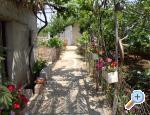Apartman Antea ostrov Hvar Chorwacja