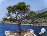Apartmani Anja ostrov Hvar Chorwacja