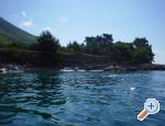 Apartmani Radić ostrov Hvar Chorwacja
