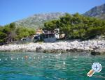 Apartmani Radić ostrov Hvar Chorwacja