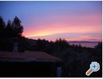 Apartmani Radić ostrov Hvar Chorwacja