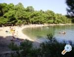 Villa Welcome ostrov Hvar Chorwacja