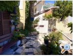 Apartments Anda Igrane Chorwacja