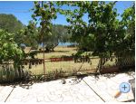 Apartments MAK Drace & Trstenik Chorwacja