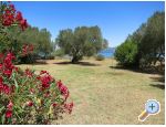 Apartments MAK Drace & Trstenik Chorwacja