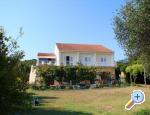 Apartments MAK Drace & Trstenik Chorwacja