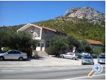Apartments & rooms Adriatic Chorwacja