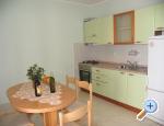 Apartmani Mašković Korčula Chorwacja