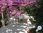 Apartmani Sarah Korčula Chorwacja