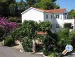 Apartmani Sarah Korčula Chorwacja