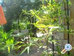 Relax apartman Chorwacja