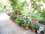 Apartaments Samanic ostrov Krk Chorwacja