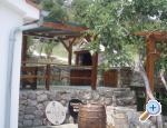 Apartments Zvonko ostrov Krk Chorwacja