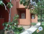 Apartments Zvonko ostrov Krk Chorwacja