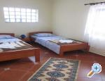 Apartments Zatezalo ostrov Krk Chorwacja