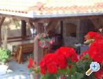 Villa Flora ostrov Krk Chorwacja