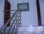 Apartman Vita Soline Kupari Chorwacja